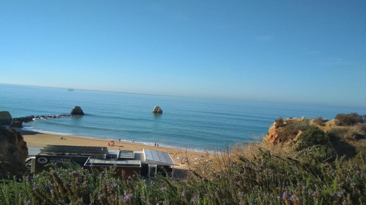Albur Village B - Dandelion Alvor Luaran gambar