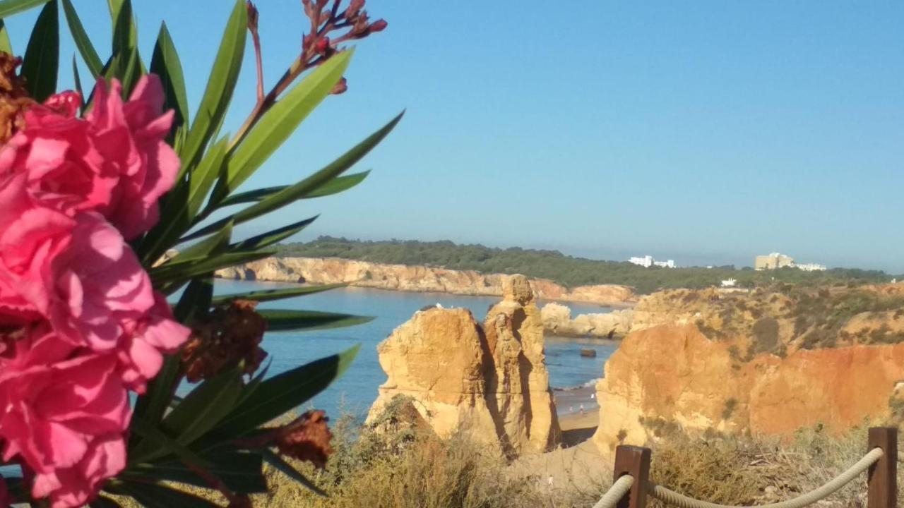 Albur Village B - Dandelion Alvor Luaran gambar